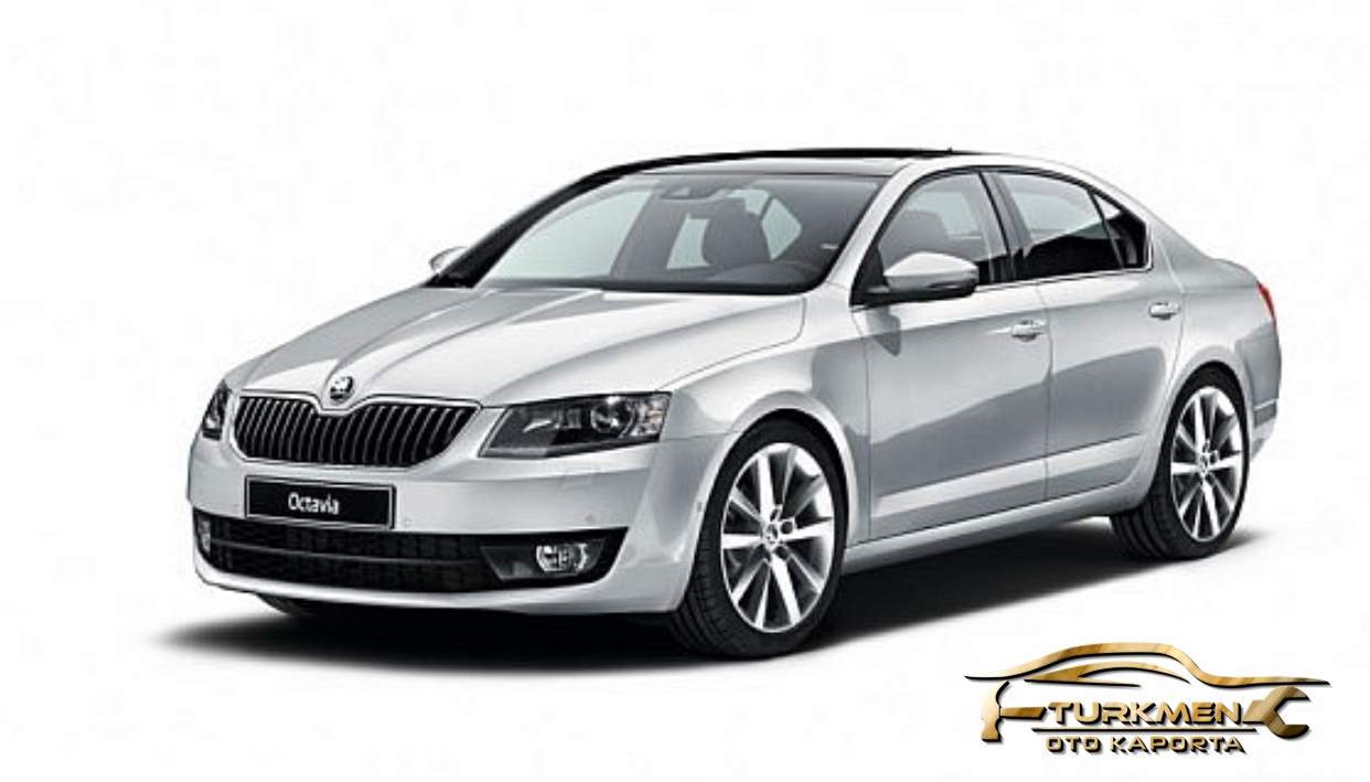 Skoda Kaporta ve Boya Hizmeti